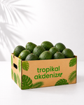 Avokado