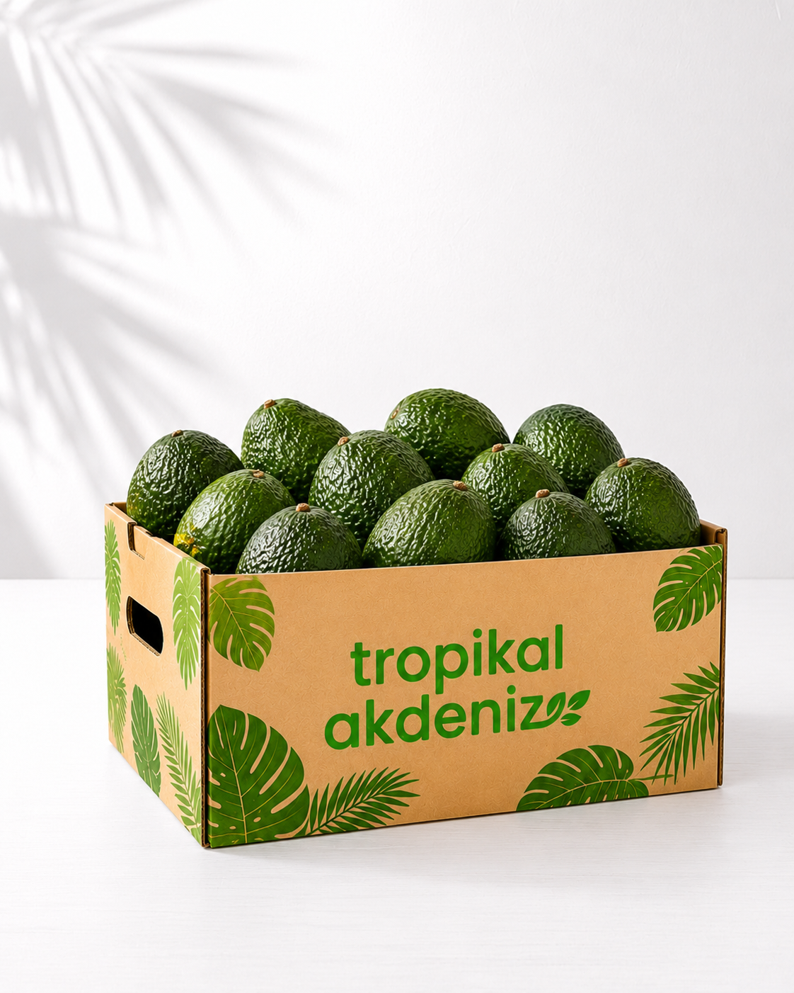 Avokado