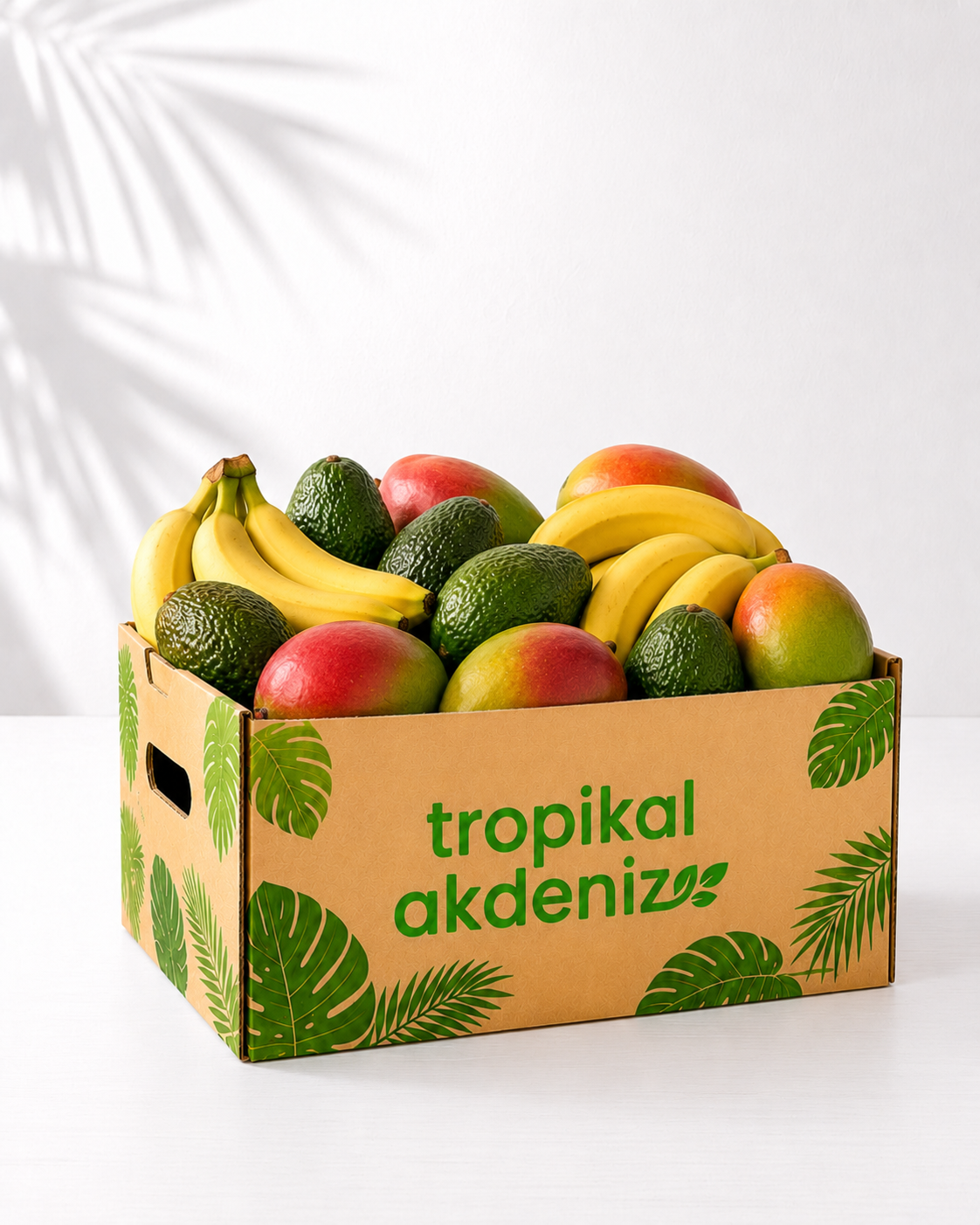 Abonelik Kutusu
